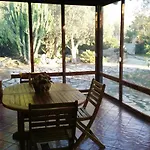 Silva Garden
